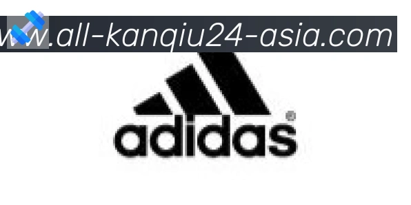 24看球直播网合作伙伴